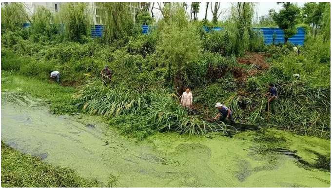 1647422586477819.png 1.png