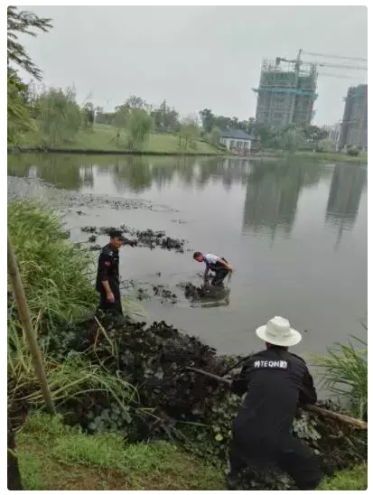 1647422615515732.png 2.png